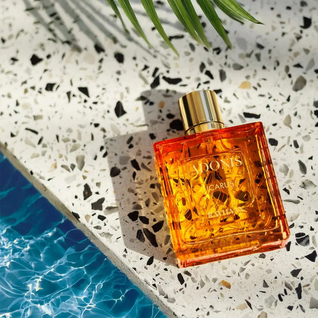 Adonis Icarus Perfume 100ml EDP Rayhaan
