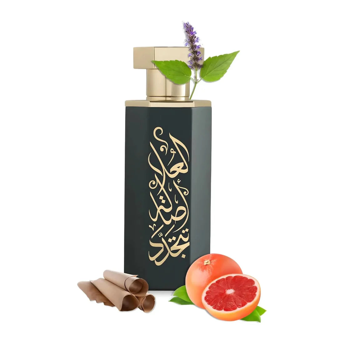 Arabs of AlUla EDP 100ml Reef Perfumes